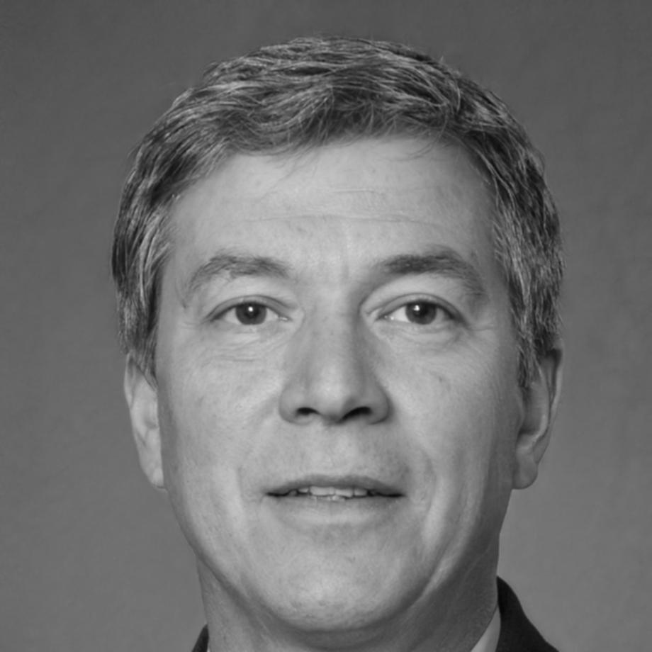 Dr. Thorsten Bergmann, Finanzanalyst